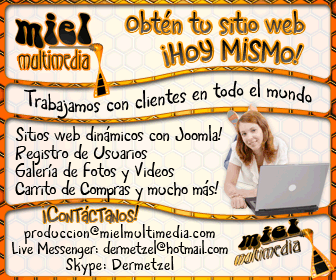 Miel Multimedia